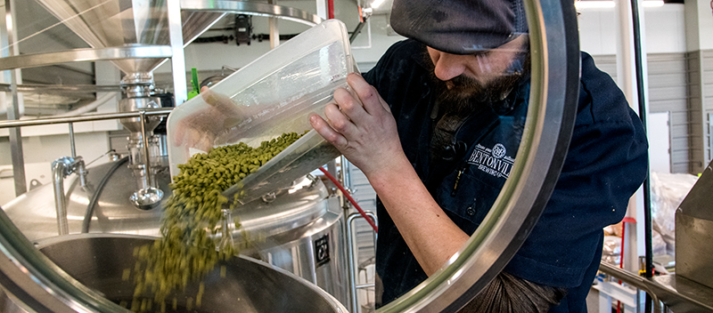 Man pouring beer hops into a vat.